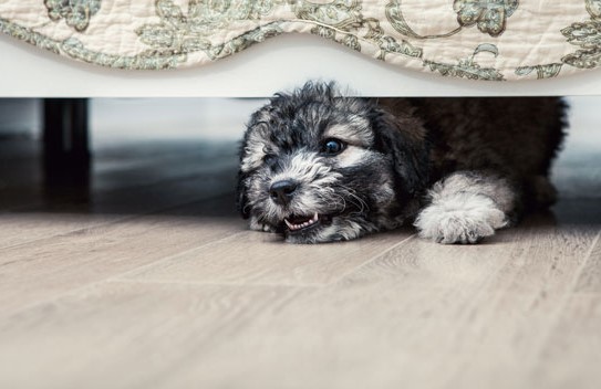 10 признаков того, что ваш дом населен привидениями